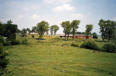 Trocianiec Wielki teren ochronki stan z 2006 r.