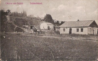 Olejw pocztwka Feldpost 1917